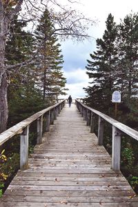 View of footbridge in park