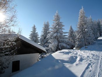 Snow covered houses and trees against clear sky