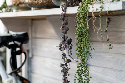 Close-up of bicycle hanging on wall