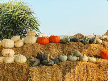 Hay bales on field against sky