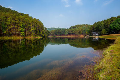 Scenic view of lake by trees against sky