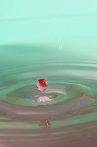 Close-up of drop falling on water