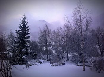 winter