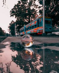 Close-up of glass against trees in city