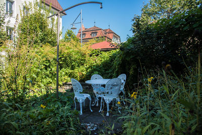 View of built structure with plants in foreground