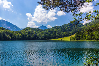 Scenic view of lake by trees against sky