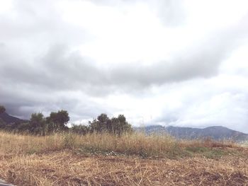 Scenic view of field against sky