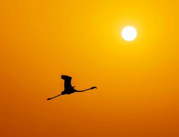 Low angle view of silhouette bird flying in sky