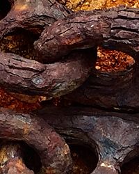 Full frame shot of wood