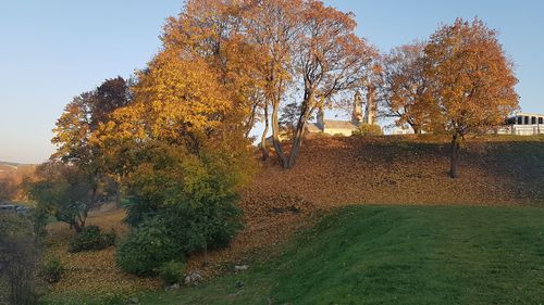 Trees on field against sky during autumn