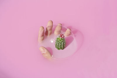 Close-up of hand holding pink flower over colored background