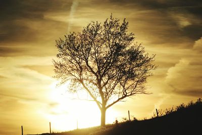Low angle view of bare trees against cloudy sky