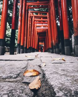 Close-up of leaf on walkway amidst orange columns