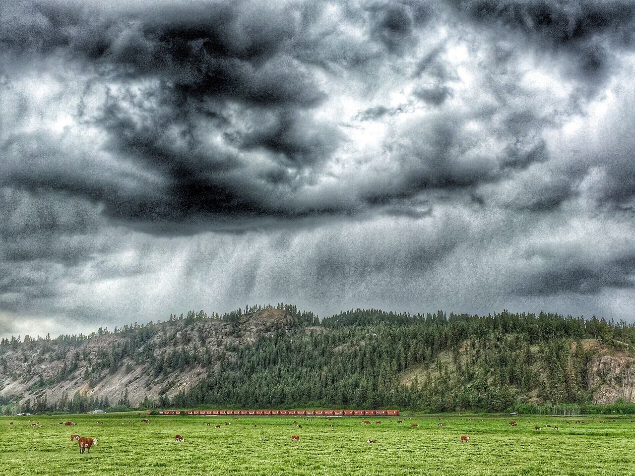 landscape, sky, cloudy, cloud - sky, tranquil scene, scenics, field, tranquility, weather, grass, beauty in nature, overcast, nature, storm cloud, green color, cloud, mountain, rural scene, idyllic, non-urban scene