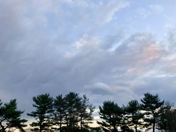 Low angle view of trees against cloudy sky