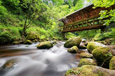 View of stream flowing through rocks in forest