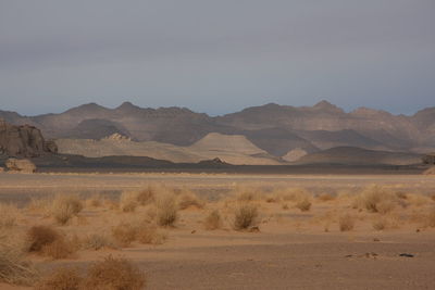 Scenic view of desert against sky