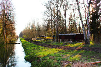 Park bench by bare trees on land against sky
