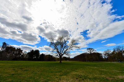Scenic view of grassy field against cloudy sky