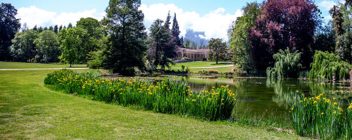 Scenic view of park by lake against sky