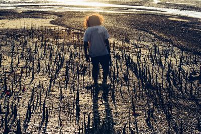 Rear view of boy walking on ground