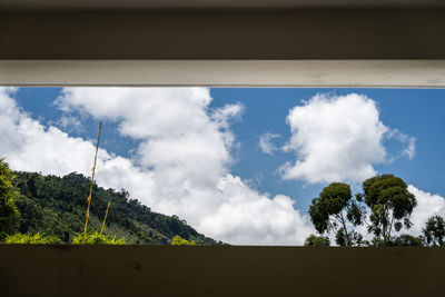 Low angle view of trees against sky