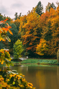 Scenic view of lake by trees during autumn