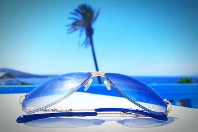 Close-up of palm tree on beach