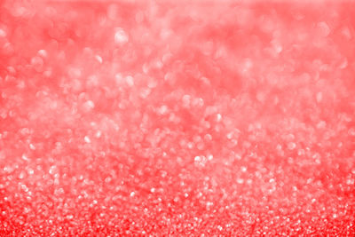 Full frame shot of pink petals