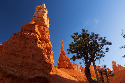 Great view to a part of the magnificient bryce canyon