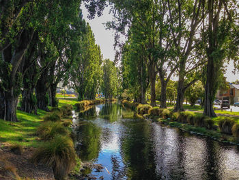 Scenic view of lake amidst trees