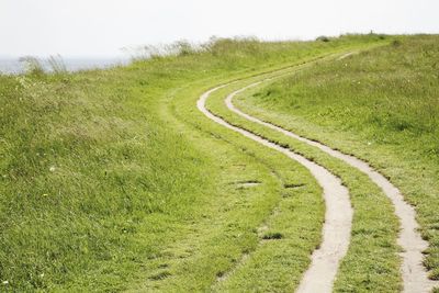 Road amidst field