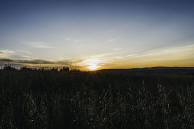 Scenic view of field against sky during sunset