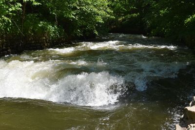 Scenic view of waterfall in forest