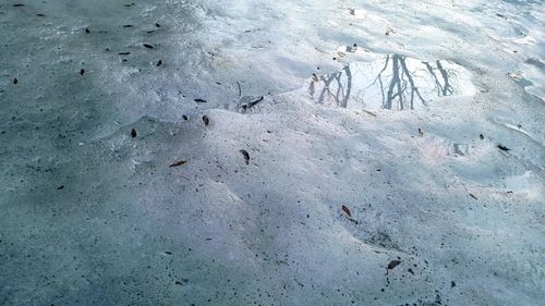 High angle view of snow on land