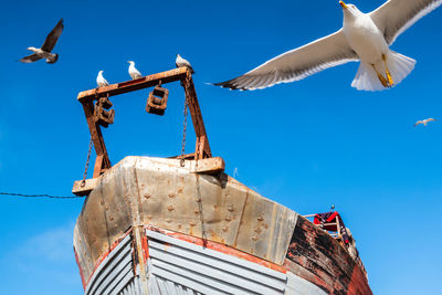 Low angle view of seagull flying against clear blue sky