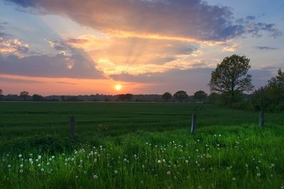 Scenic view of field against sky during sunset