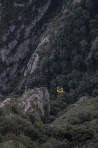 Moody green lush yellow cable car in spain