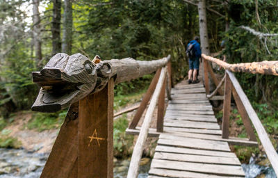 Wooden footbridge amidst trees in forest