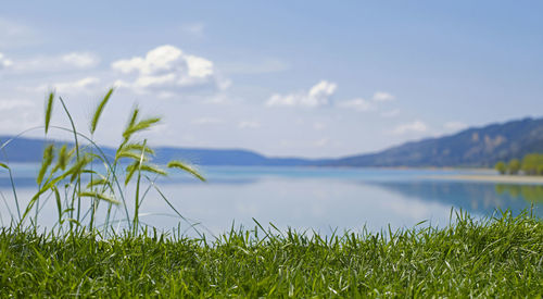 Scenic view of lake against sky