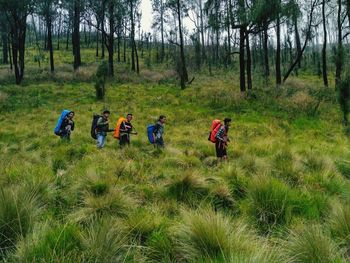 People in forest