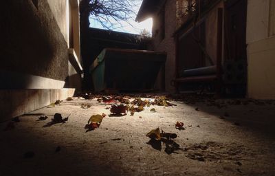 View of built structure