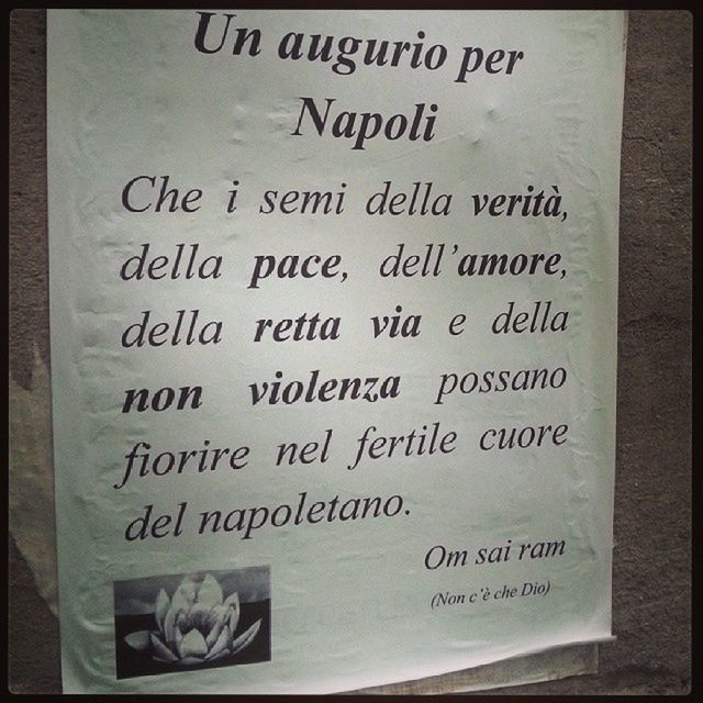 Napolipix