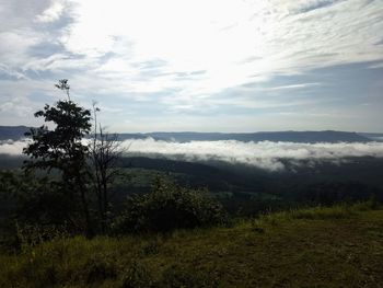 Scenic view of field against sky