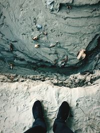 Low section of man standing on shore