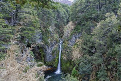 Scenic view of waterfall in forest