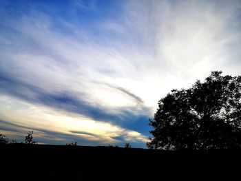 Low angle view of silhouette trees on field against sky at sunset