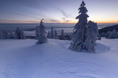 Snow covered field against sky during sunset