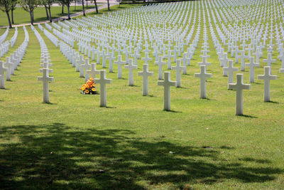 View of cemetery