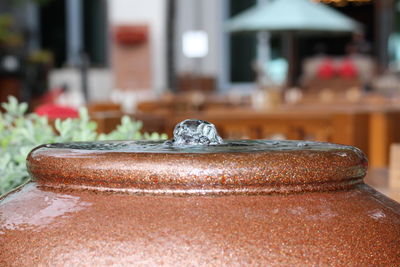 Close-up of cake on table